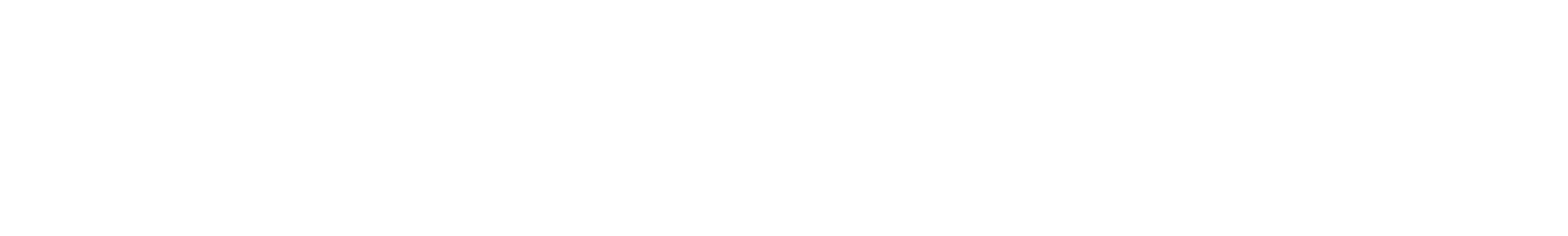 Vizion Finance